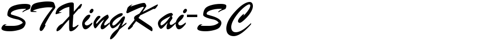 STXingKai-SC