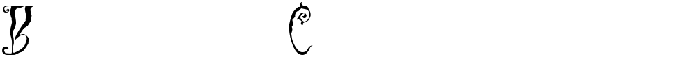 Black Cow