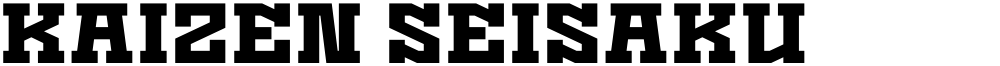 Kaizen Seisaku