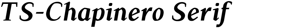 TS-Chapinero Serif