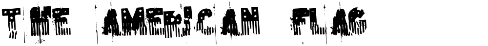 the american flag