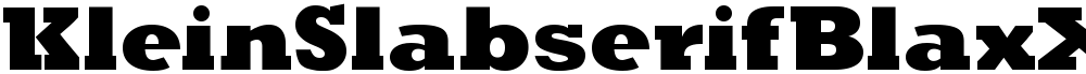 KleinSlabserifBlaxX