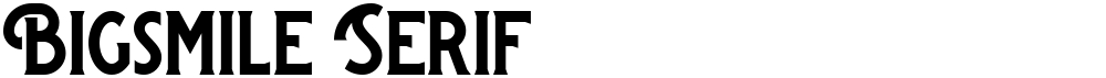 Bigsmile Serif