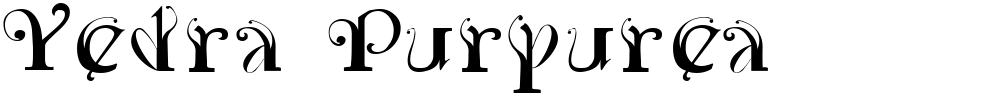 Yedra Purpurea