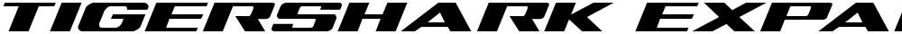 Tigershark Expanded Italic