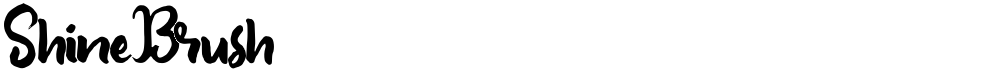 ShineBrush