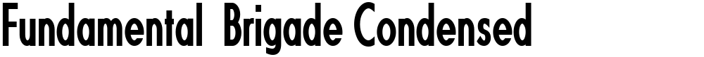 Fundamental  Brigade Condensed