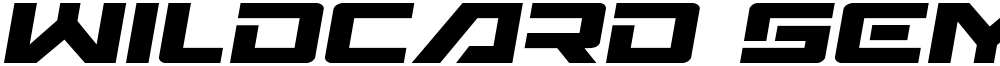Wildcard Semi-Italic