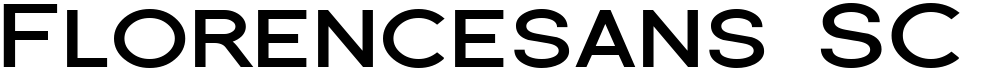 Florencesans SC Exp