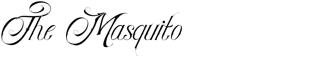 The Masquito