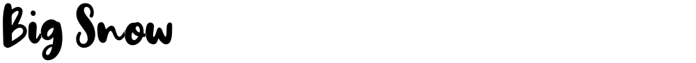 Big Snow