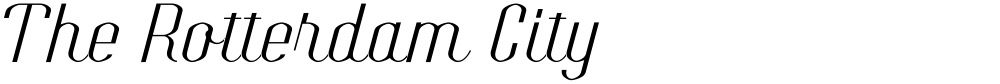 The Rotterdam City