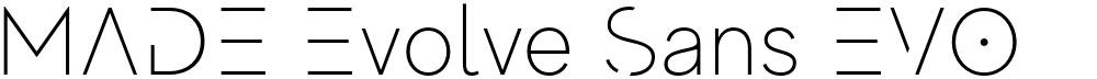 MADE Evolve Sans EVO
