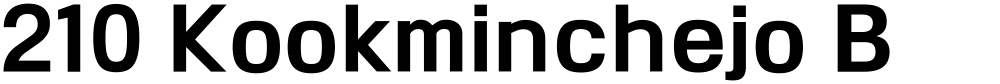 210 Kookminchejo B