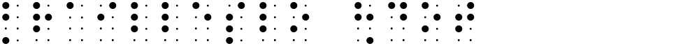 BrailleSlo 8dot