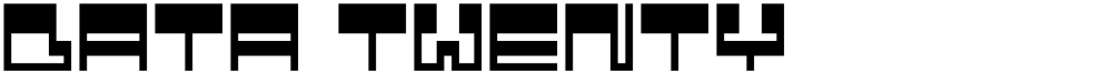 Data Twenty