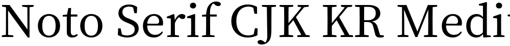 Noto Serif CJK KR Medium