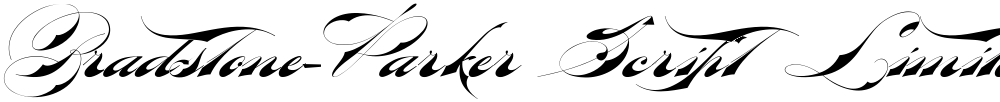 Bradstone-Parker Script Limited Free Version
