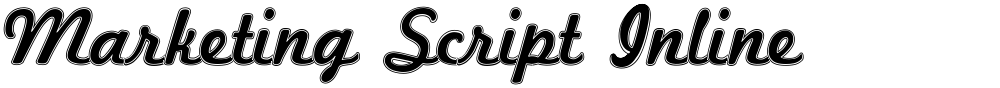 Marketing Script Inline