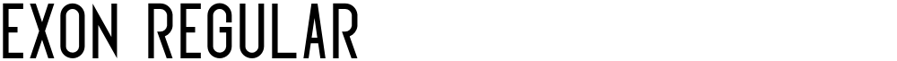 Exon regular