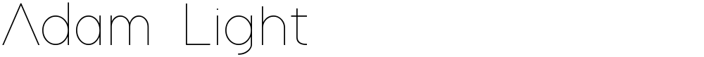 Adam Light