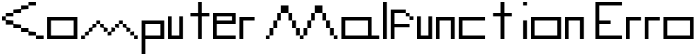 Computer Malfunction Error