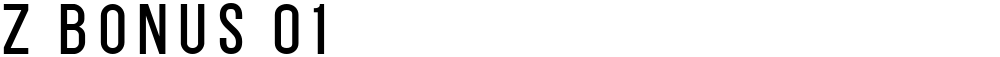 Z BONUS 01