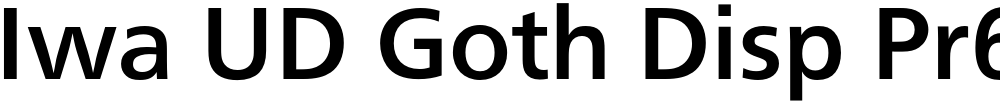 Iwa UD Goth Disp Pr6N