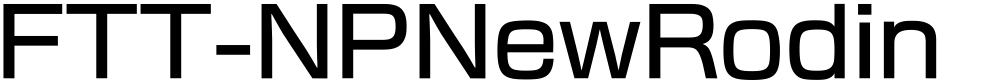 FTT-NPNewRodin