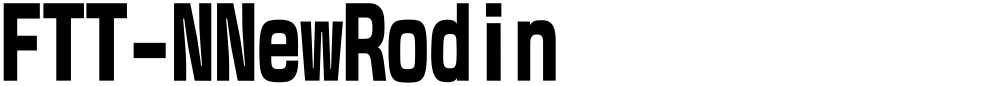 FTT-NNewRodin