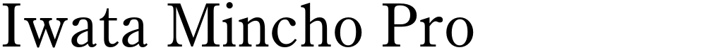 Iwata Mincho Pro