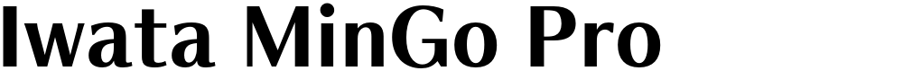 Iwata MinGo Pro