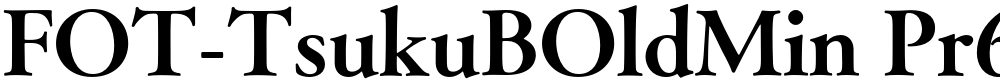 FOT-TsukuBOldMin Pr6