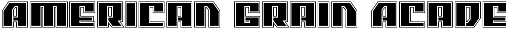 American Grain Academy