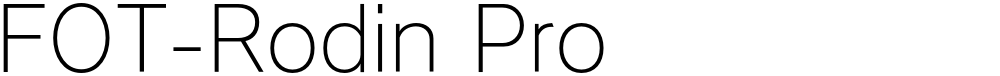 FOT-Rodin Pro